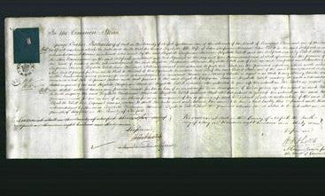 Court of Common Pleas - Elizabeth Tillett-Original Ancestry