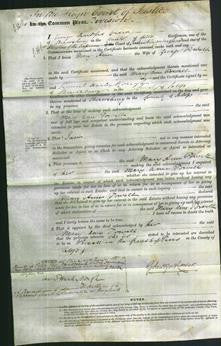 Court of Common Pleas - Mary Ann Towell-Original Ancestry