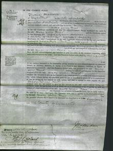 Court of Common Pleas - Mary Wells Freer-Original Ancestry