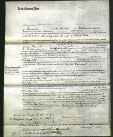 Court of Common Pleas - Dorothy Fish-Original Ancestry