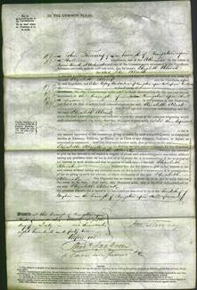 Court of Common Pleas - Elizabeth Alcock-Original Ancestry