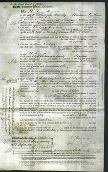 Court of Common Pleas - Ann Allan-Original Ancestry