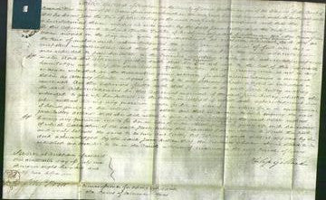 Court of Common Pleas - Jane Bulley-Original Ancestry
