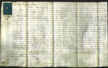 Court of Common Pleas - Catherine Brown and Lydia Pratt-Original Ancestry