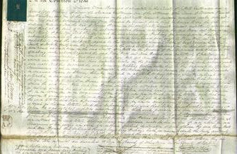 Court of Common Pleas - Mary Hall and Ann Browne-Original Ancestry