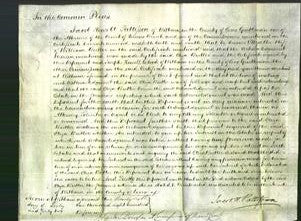 Court of Common Pleas - Eliza Butler-Original Ancestry