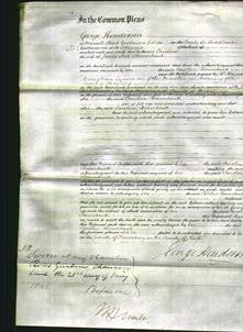 Court of Common Pleas - Caroline Bowerbank-Original Ancestry