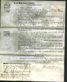 Court of Common Pleas - Eliza Mary Elizabeth Channon-Original Ancestry