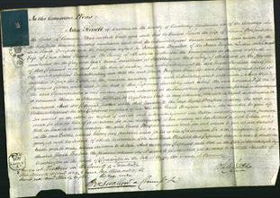 Court of Common Pleas - Sarah Bonfield-Original Ancestry