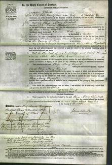 Court of Common Pleas - Eliza Mary Elizabeth Channon-Original Ancestry