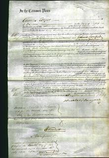 Court of Common Pleas - Emily Snelling-Original Ancestry