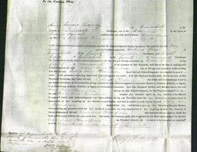 Court of Common Pleas - Mary Anne Thompson-Original Ancestry