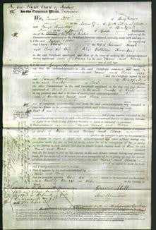 Court of Common Pleas - Mary Hirst and Clara Thornton-Original Ancestry