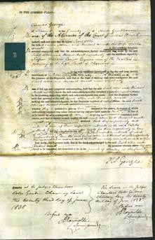 Court of Common Pleas - Sarah Allen and Rachel Ansell-Original Ancestry