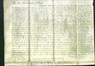 Court of Common Pleas - Sophia Cook-Original Ancestry