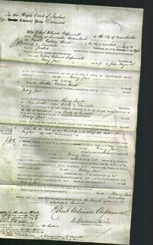 Court of Common Pleas - Mary Jane Mycock-Original Ancestry