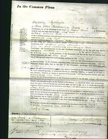 Court of common Pleas - Lucy West-Original Ancestry