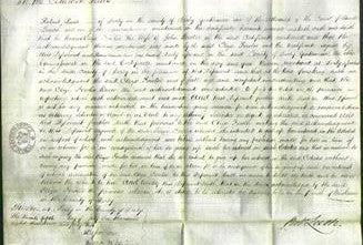 Court of Common Pleas - Eliza Fowler-Original Ancestry