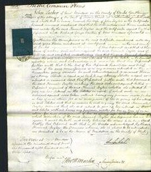 Court of Common Pleas - Hannah Taylor-Original Ancestry
