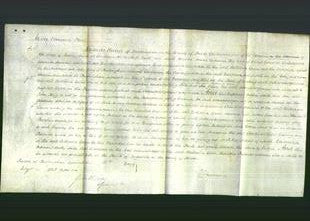 Court of Common Pleas - Catherine Gunn-Original Ancestry