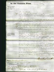 Court of Common Pleas - Maria Welch-Original Ancestry