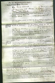 Court of Common Pleas - Sarah Randall-Original Ancestry