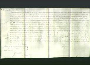 Court of Common Pleas - Catherine Gunn-Original Ancestry