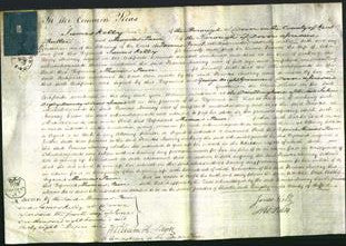 Court of Common Pleas - Frances Murray-Original Ancestry