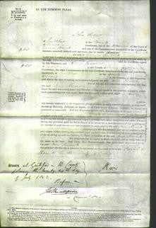 Court of Common Pleas - Ann Knowles-Original Ancestry