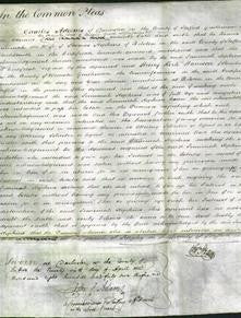 Court of common Pleas - Jemima Hopkins-Original Ancestry