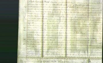 Court of Common Pleas - Susannah Pope, Anne Pope and Anne Pope-Original Ancestry