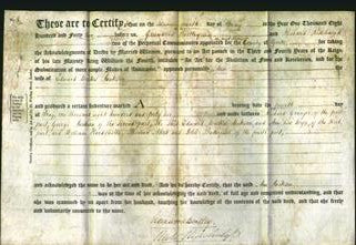 Deed by Married Women - Ann Jackson-Original Ancestry