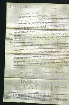 Court of Common Pleas - Ann Jackson-Original Ancestry