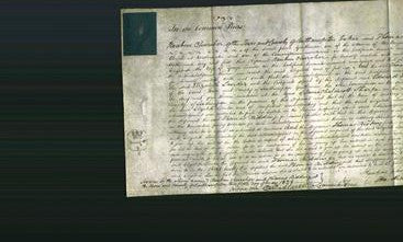 Court of Common Pleas - Elizabeth Lander-Original Ancestry