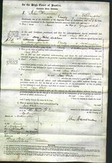 Court of Common Pleas - Jane White-Original Ancestry