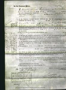 Court of Common Pleas - Matilda Wood-Original Ancestry