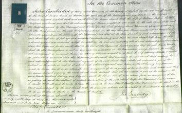 Court of Common Pleas - Sarah Rolfe-Original Ancestry