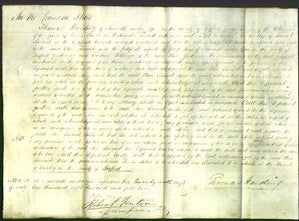 Court of Common Pleas - Ann Simcock-Original Ancestry