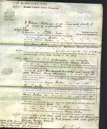 Court of Common Pleas - Emma Beaton-Original Ancestry