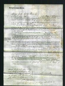 Court of Common Pleas - Elizabeth Godfrey-Original Ancestry