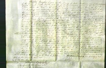 Court of Common Pleas - Ann Nancy Sowden-Original Ancestry