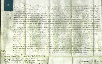 Court of Common Pleas - Jane Tozer-Original Ancestry