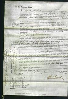 Court of Common Pleas - Jane Randell Pollard-Original Ancestry