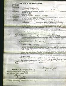 Court of Common Pleas - Ida O'Reilly-Original Ancestry