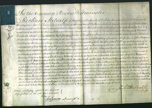 Court of Common Pleas - Elizabeth Hartley-Original Ancestry