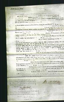 Court of Common Pleas - Mary Hill-Original Ancestry