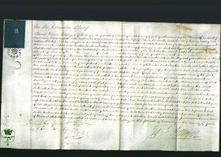 Court of Common Pleas - Martha Shoesmith, Sarah Einsley and Esther Naylor-Original Ancestry