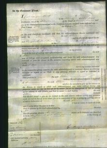 Court of Common Pleas - Ellen Goodwin-Original Ancestry