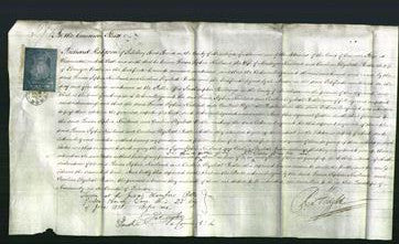 Court of Common Pleas - Louisa Sophia Newland and Caroline Elizabeth Butler-Original Ancestry