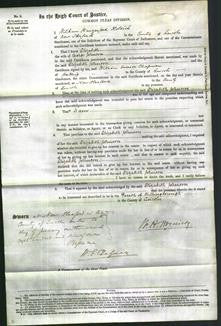 Court of Common Pleas - Elizabeth Johnson-Original Ancestry